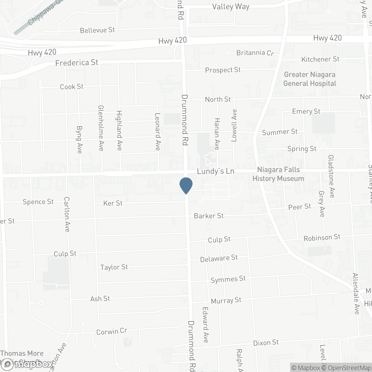 4213/4207 4213/4207 DRUMMOND ROAD, Niagara Falls, Ontario L2E 6C2